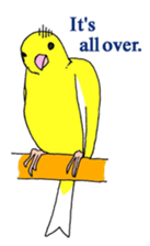 5706065