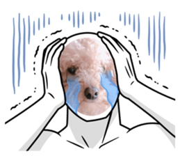 570641574