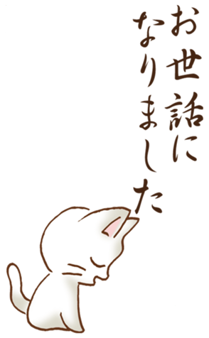 570668305