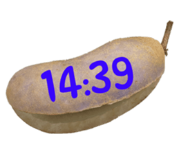 570680611
