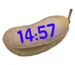 570680617