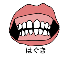 570688900