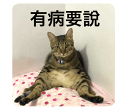 570702020