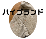 570815877