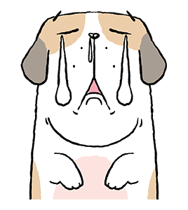 หมาจ๋า | ดุ๊กดิ๊ก มีเสียง 2566 รูปที่ 12