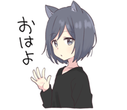 57088520