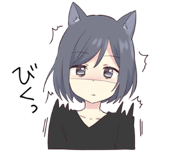 57088530