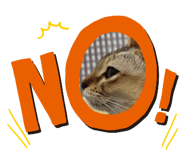 570900882