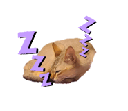 570900888