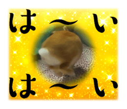 570909959