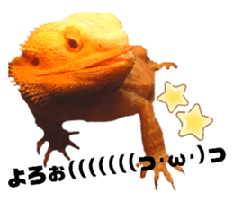 570909968