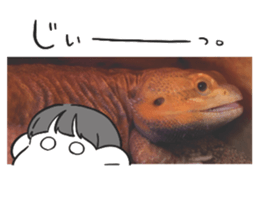 570909989