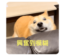 570950455