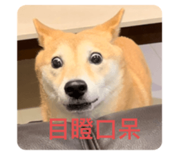 570950457