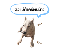 570958032