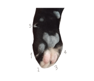 570958588