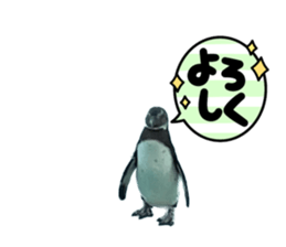 570999081