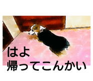 570999286