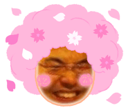 571001162