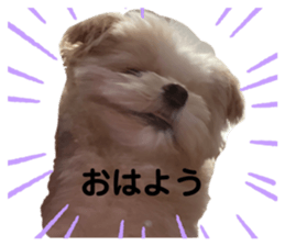 571014789