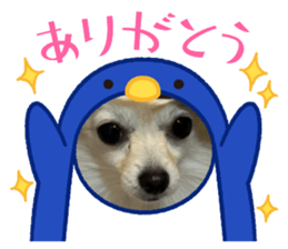 571078486