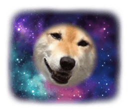 571132655