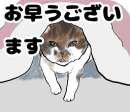 571232716