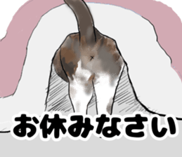 571232725