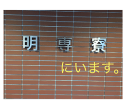 57123304
