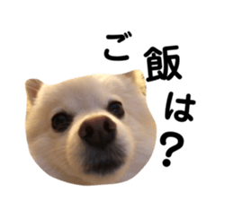 571266903