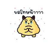 571267519