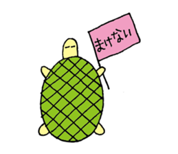5712762