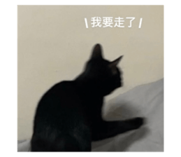 571298385