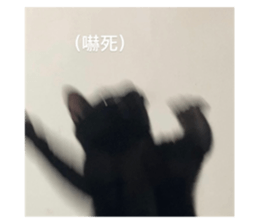 571298386