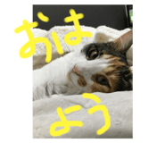 571298969