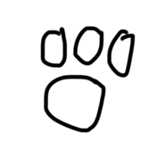 571377005