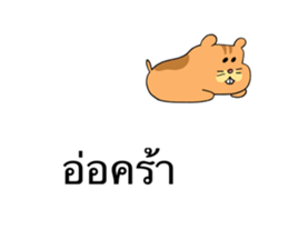 571396158