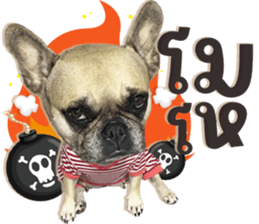 571436668