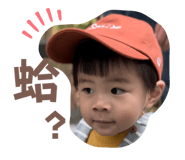 571449455