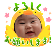 571525506