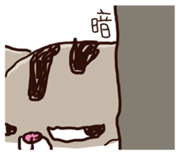 571566909