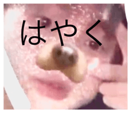 571607930
