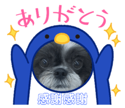 571638187
