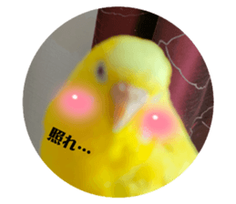 571767832