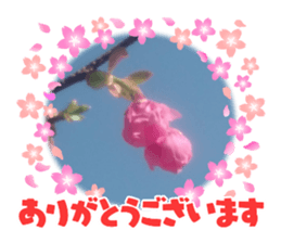 571771830