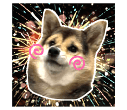 571908927