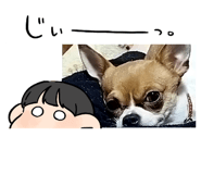 571940384