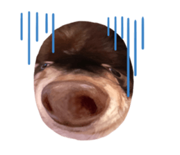 571948197
