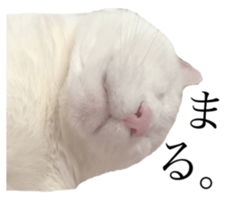572060289
