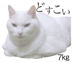 572060291